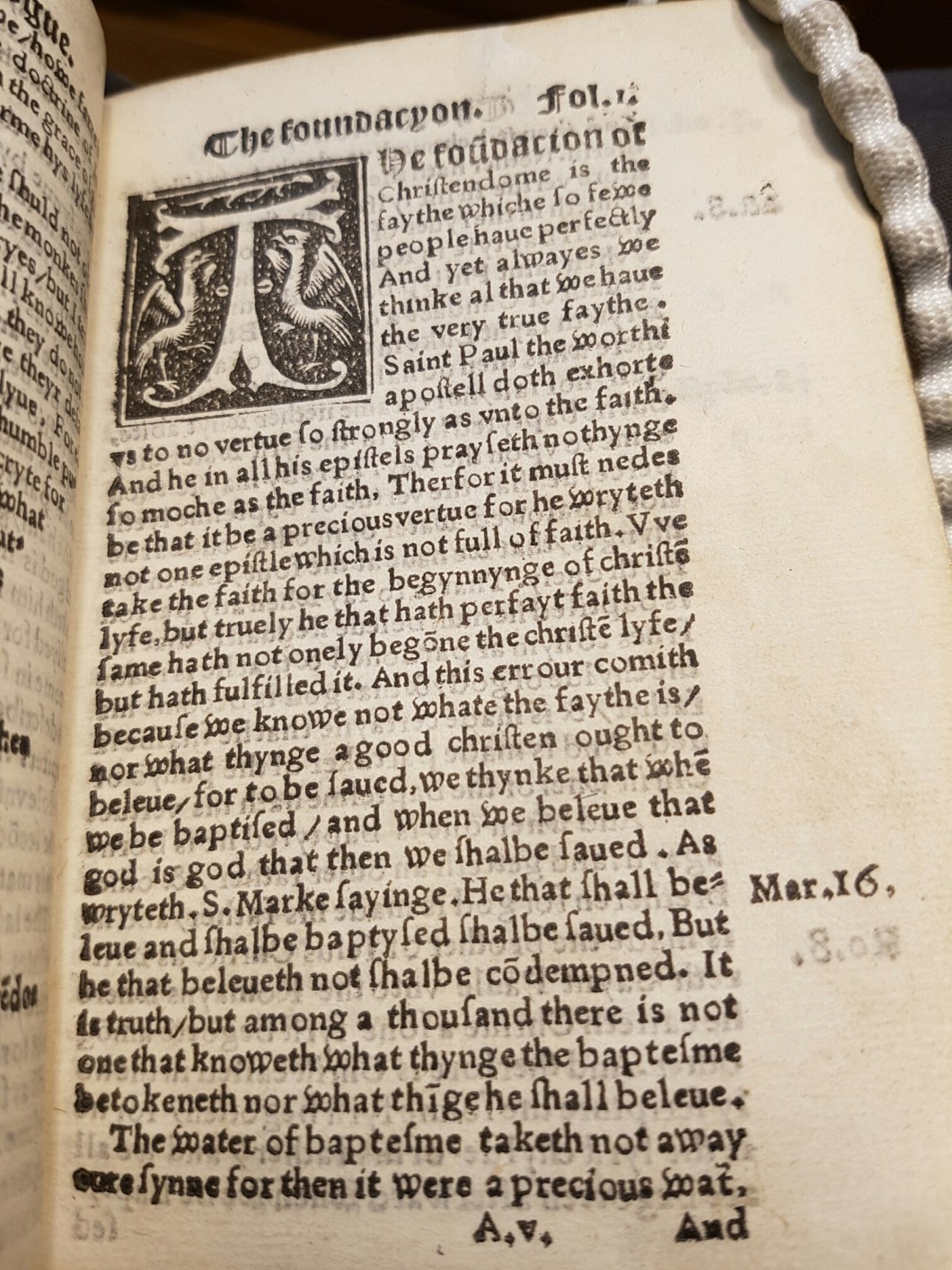 wp-1477502677997 image